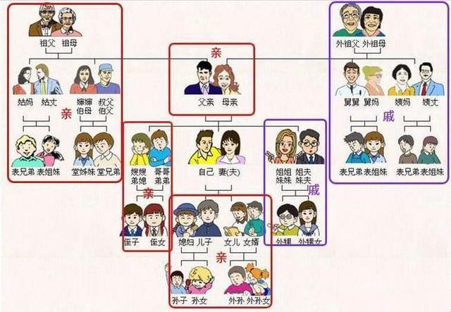 亲缘交织后的尴尬同行：妙趣横生还是尴尬无比？