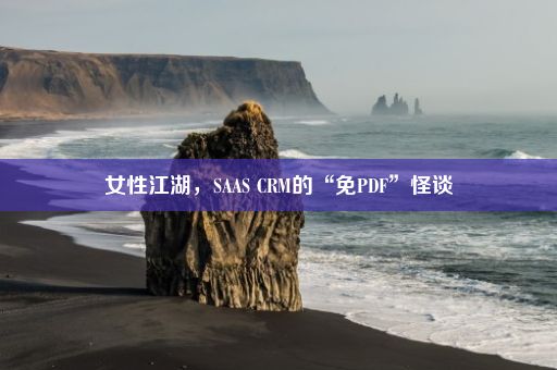 女性江湖，SAAS CRM的“免PDF”怪谈