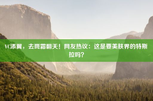 VC添翼，去斑霜翻天！网友热议：这是要美肤界的特斯拉吗？