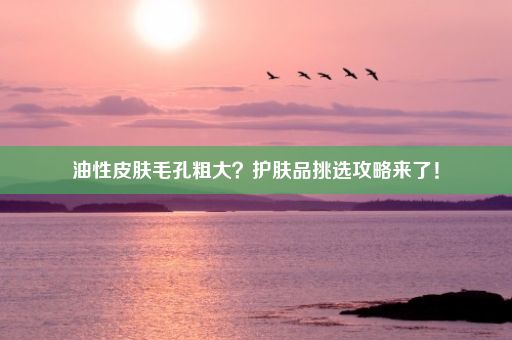 油性皮肤毛孔粗大？护肤品挑选攻略来了！