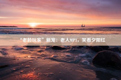 “老龄玩家”新宠：老人MP3，笑看夕阳红