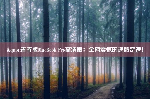 "青春版MacBook Pro高清版：全网震惊的逆龄奇迹！