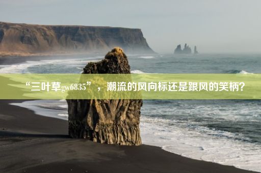 “三叶草gw6835”，潮流的风向标还是跟风的笑柄？