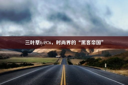 三叶草fy4976，时尚界的“黑客帝国”