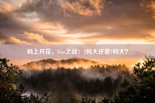 码上开花，Size之战：2码大还是3码大？