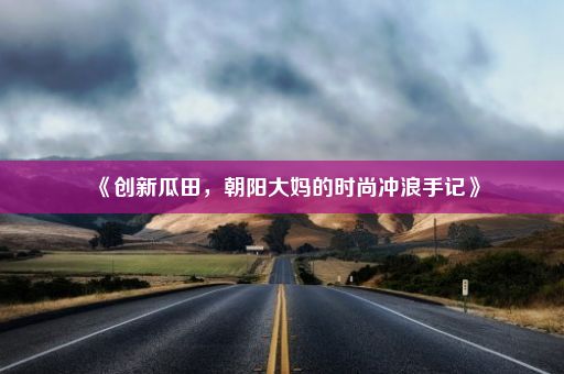 《创新瓜田，朝阳大妈的时尚冲浪手记》