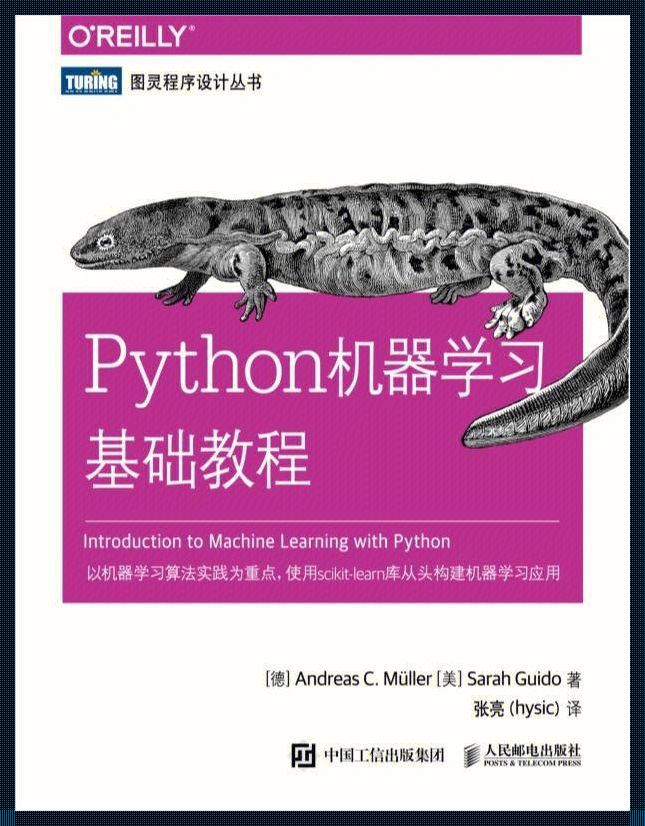 "巧手编织Python梦，匠心独运女子风"