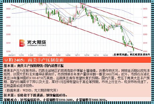 时尚圈的一线二线，差距何在？笑侃产区界的爱恨情仇