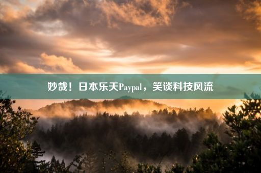 妙哉！日本乐天Paypal，笑谈科技风流