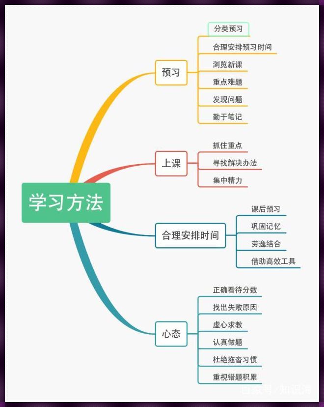 《学渣逆袭宝典：女神级学霸的神秘笔记》