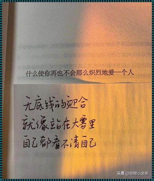 “潮词’干湿’对决，谁将笑傲江湖？”