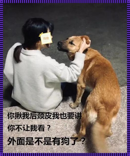 时尚狂想曲：锁链佳人，犬友相伴？