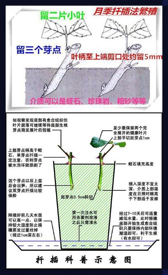 "72玩转45分钟：极限逆袭日志"