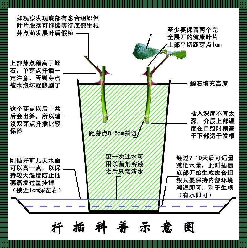 "72玩转45分钟：极限逆袭日志"