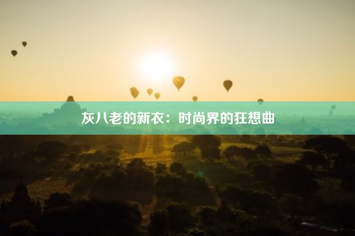 灰八老的新衣：时尚界的狂想曲