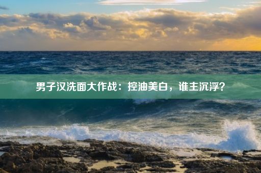 男子汉洗面大作战：控油美白，谁主沉浮？