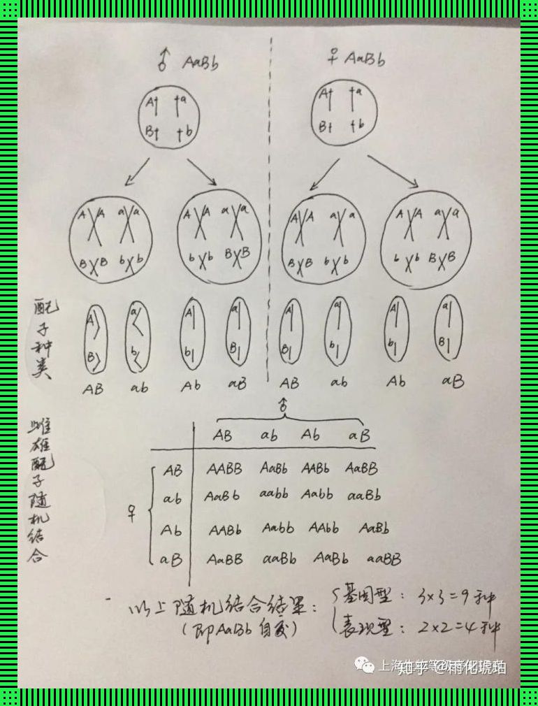 女性领域的DNA非特异杂交：一场悄然兴起的关注风波