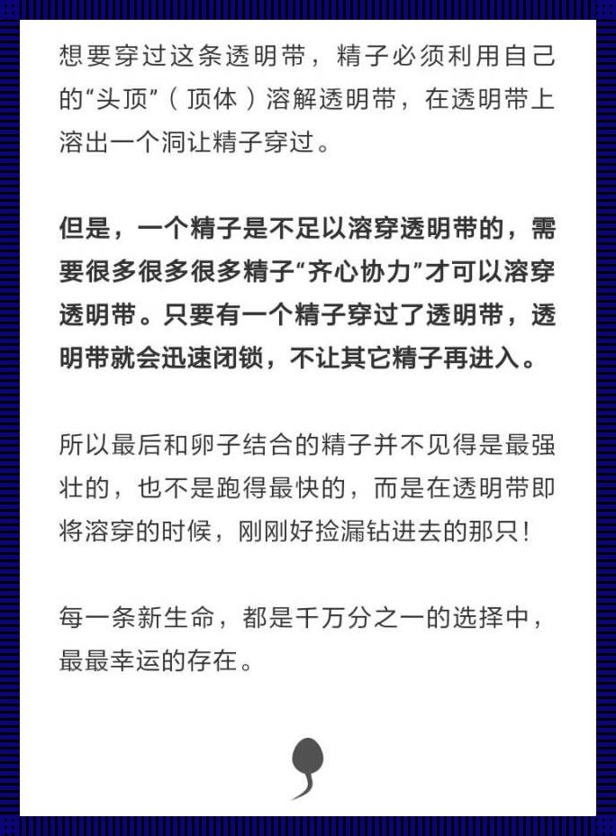 "女流之辈，网络新宠？自嘲风潮下的自我解构"