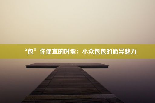 “包”你便宜的时髦：小众包包的诡异魅力