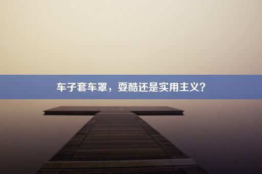 车子套车罩，耍酷还是实用主义？