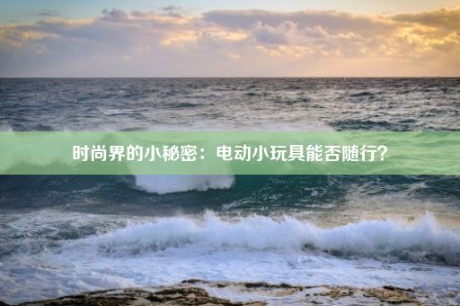 时尚界的小秘密：电动小玩具能否随行？