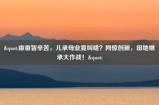 "亩亩皆辛苦，儿承母业竟叫啥？网惊创新，田地继承大作战！"