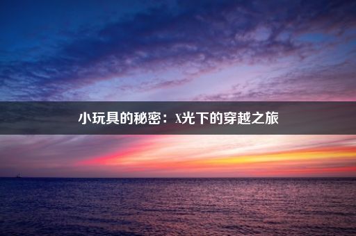 小玩具的秘密：X光下的穿越之旅