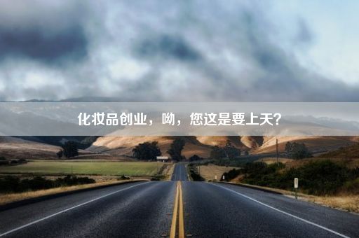 化妆品创业，呦，您这是要上天？