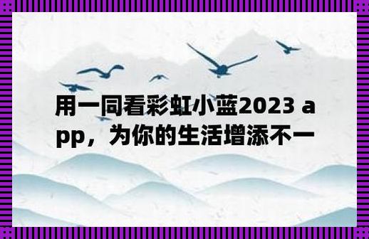 “蓝彩虹2023：时尚界的狂欢，网民们的盛宴！”