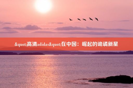 "高清adidas"在中国：崛起的诡谲新星