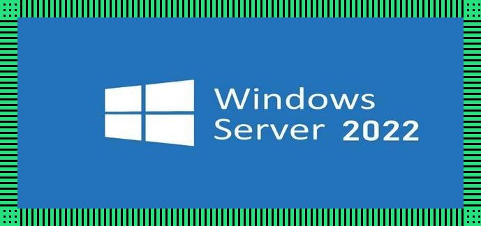 “日本Windowsserver免费版”狂想曲：时尚界的诡异逆袭