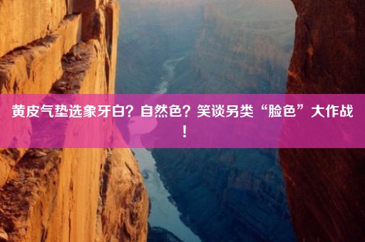 黄皮气垫选象牙白？自然色？笑谈另类“脸色”大作战！