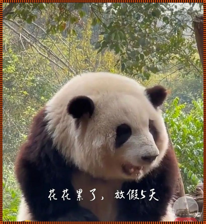 "滚滚红尘，