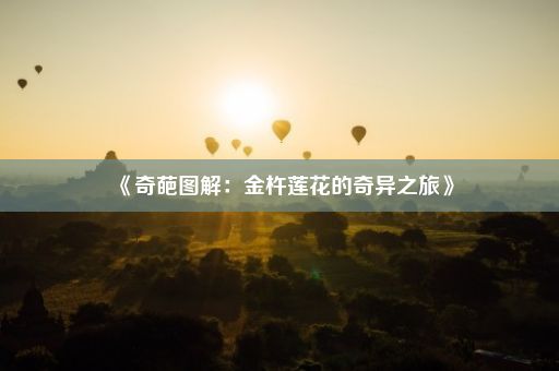 《奇葩图解：金杵莲花的奇异之旅》