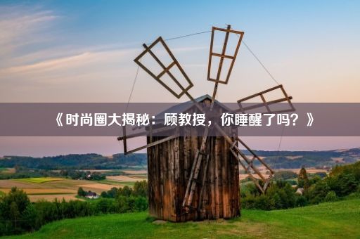 《时尚圈大揭秘：顾教授，你睡醒了吗？》