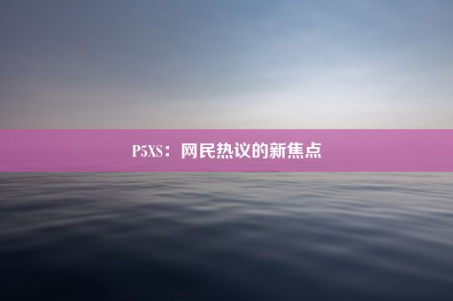 P5XS：网民热议的新焦点