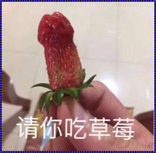 “腿精”草莓秀，网间纷飞议：时尚圈新焦点探秘