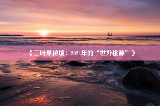 《三叶草秘境：2024年的“世外桃源”》