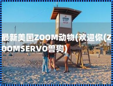 “ZOOMSERVO兽狗”时尚狂想曲：潮宠界的跑车型猎犬