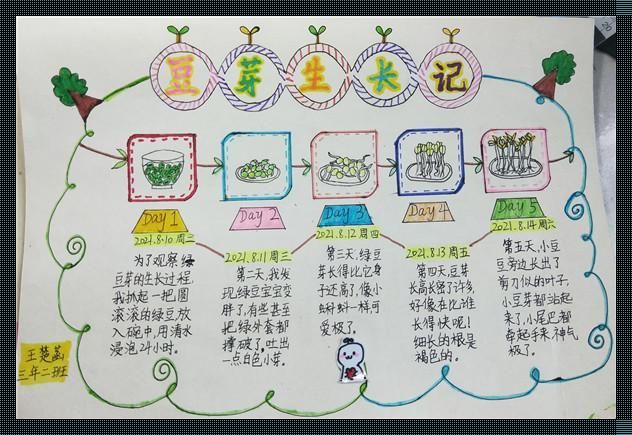 "女性世界，‘成长的秘密’第十三集观后感：网友的‘震惊’之旅"