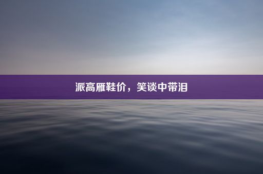 派高雁鞋价，笑谈中带泪