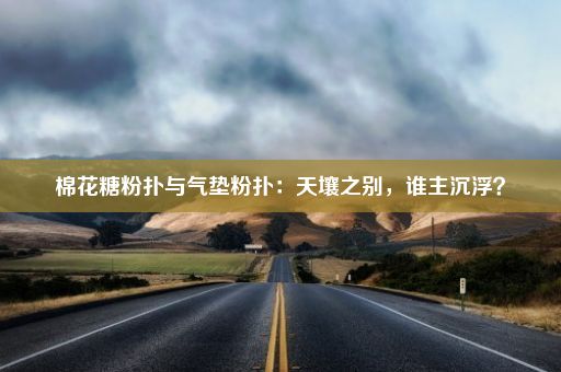 棉花糖粉扑与气垫粉扑：天壤之别，谁主沉浮？