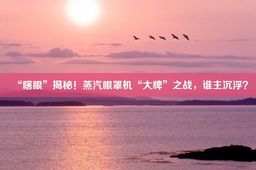 “瞎眼”揭秘！蒸汽眼罩机“大牌”之战，谁主沉浮？