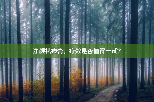 净颜祛痘膏，疗效是否值得一试？