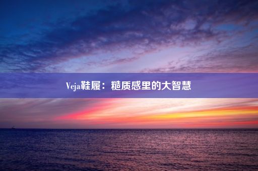 Veja鞋履：糙质感里的大智慧