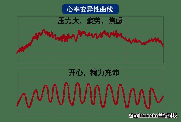 "1978，性别变异的奇妙之旅"