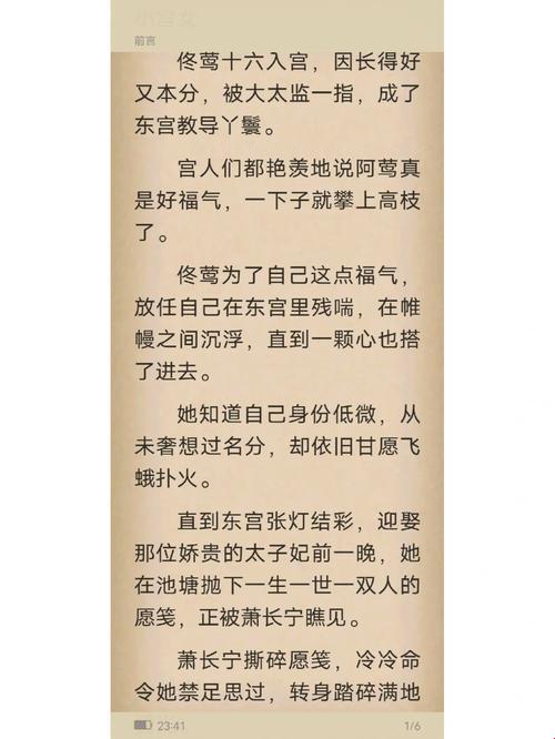 《时尚狂潮：偏执太子的心动演绎》