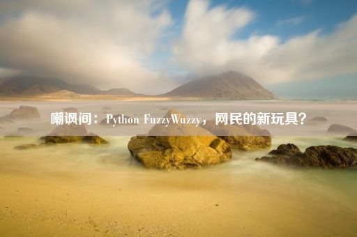 嘲讽间：Python FuzzyWuzzy，网民的新玩具？