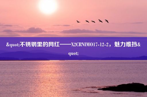 "不锈钢里的网红——X2CRNIMO17-12-2，魅力难挡"