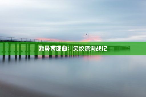 额鼻两部曲：笑纹深沟战记